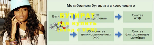 индика Богданович